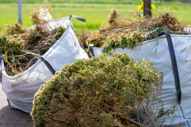Best Furniture Removal Near Me  in Rancho Mission Viejo, CA